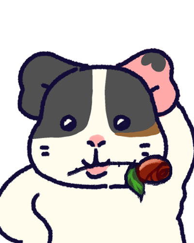 기니피그 고찰